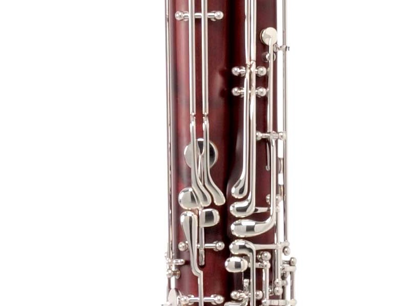 ws5071-1.jpg